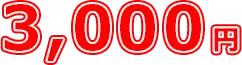 3000円