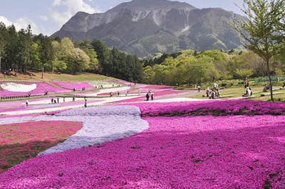 都心が近く自然豊かな埼玉県
