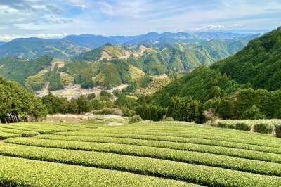 温暖で穏やかな気候が過ごしやすい静岡県
