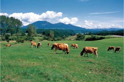 昔話『桃太郎』ゆかりの地。晴れのくに岡山県